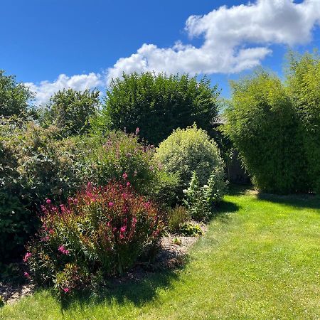 Bed and Breakfast Laboucaliniere Plurien Exteriér fotografie